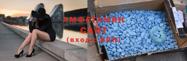 хмурый Белокуриха