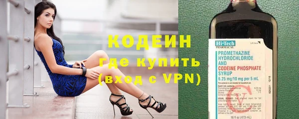 хмурый Белокуриха