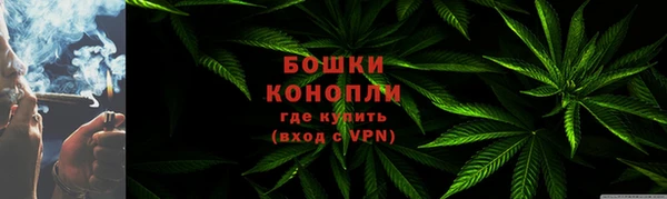 хмурый Белокуриха