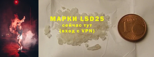 хмурый Белокуриха