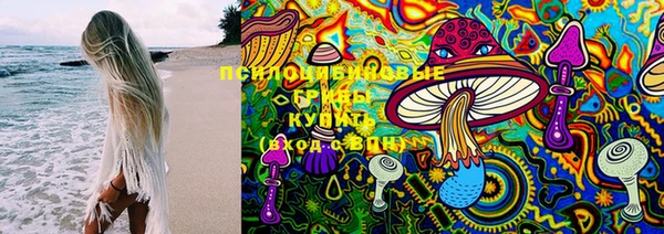 гидра Беломорск