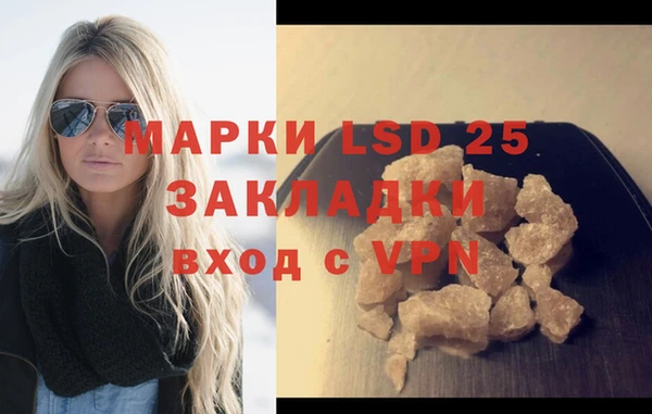 хмурый Белокуриха