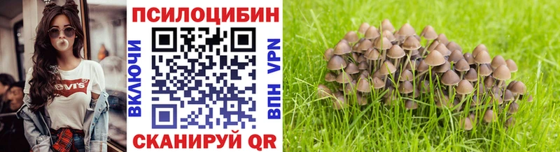 Галлюциногенные грибы Magic Shrooms  магазин продажи наркотиков  Гулькевичи 